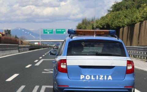 Cane salvato sulla A14 tra Pesaro e Cattolica