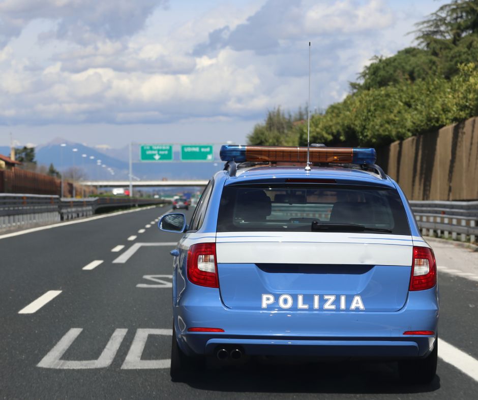 Cane salvato sulla A14 tra Pesaro e Cattolica